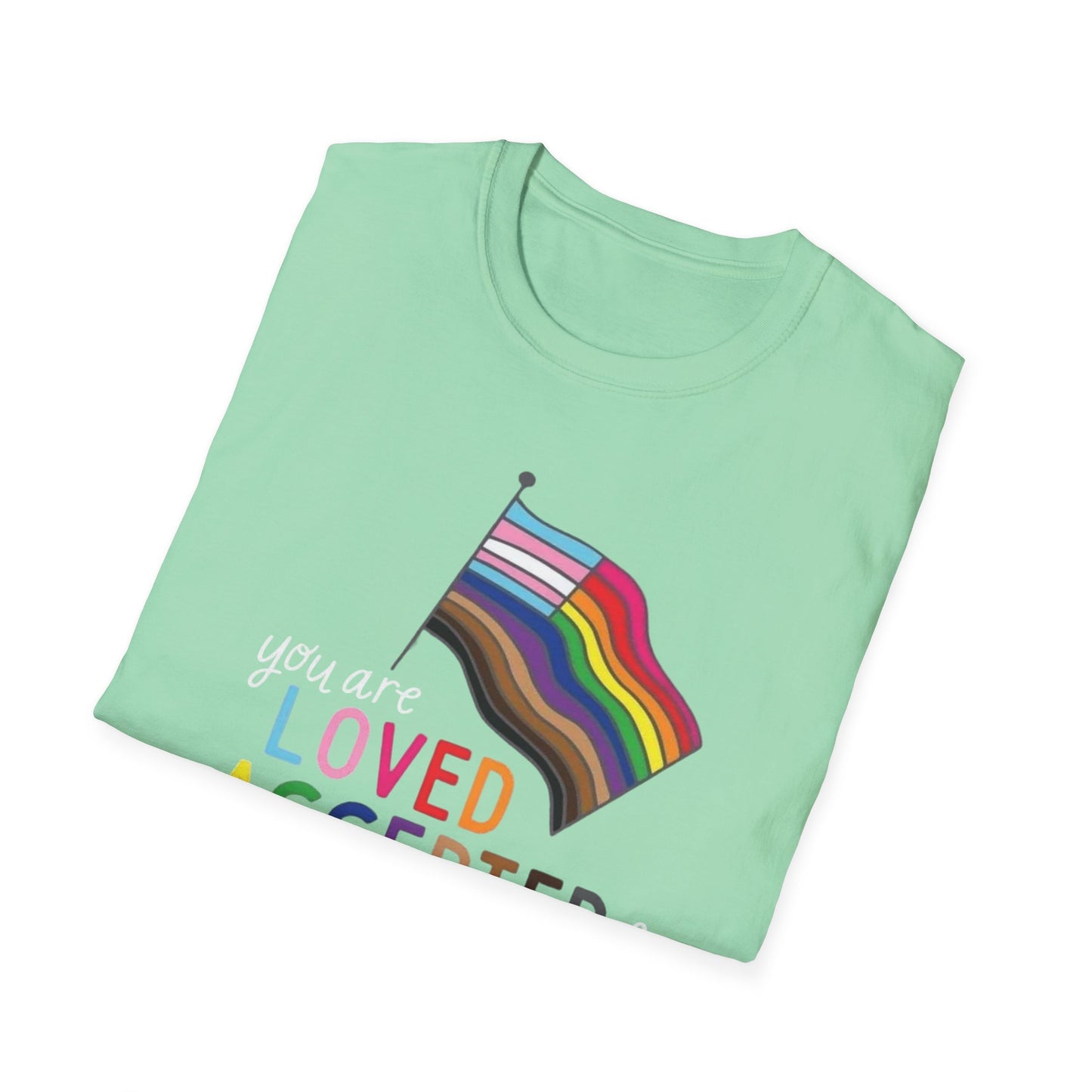 You Are Loved Accepted & Celebrated Gildan 64000 Unisex Softstyle T-Shirt by Printify (+$4.29/S&H)
